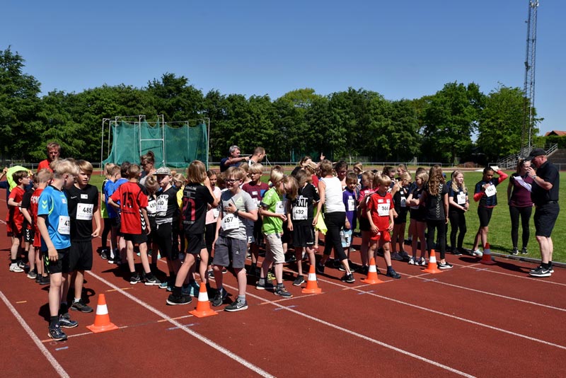 Billeder fra Skole ol 2018