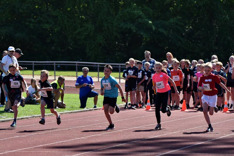 Billeder fra Skole ol 2018