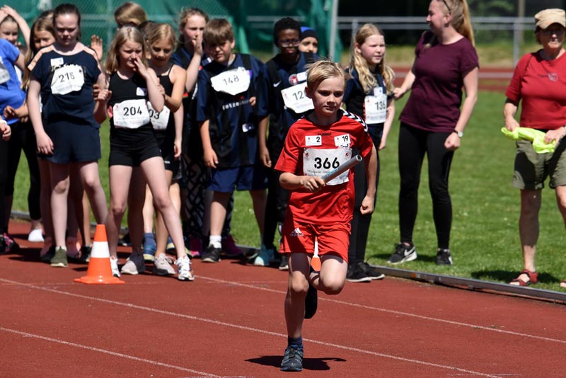 Billeder fra Skole ol 2018