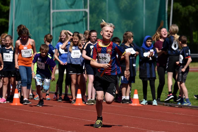 Billeder fra Skole ol 2018