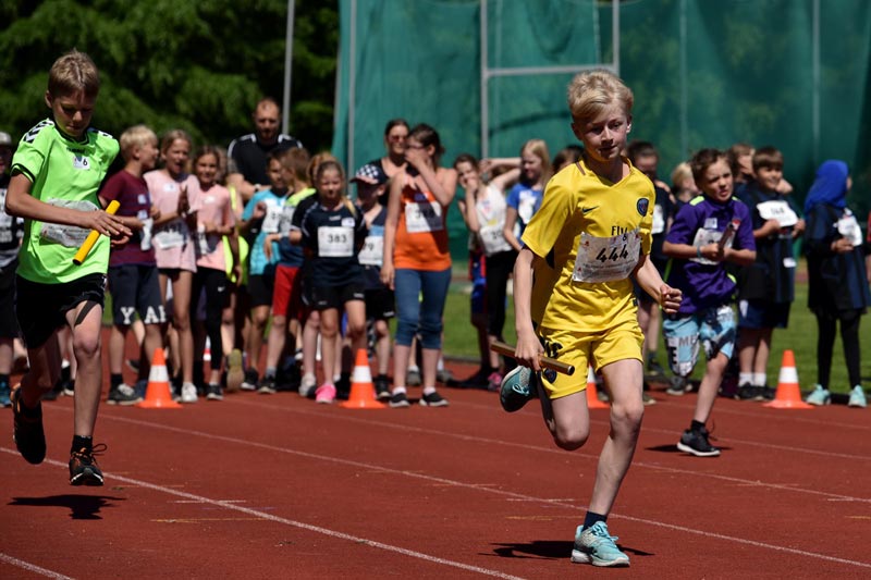 Billeder fra Skole ol 2018