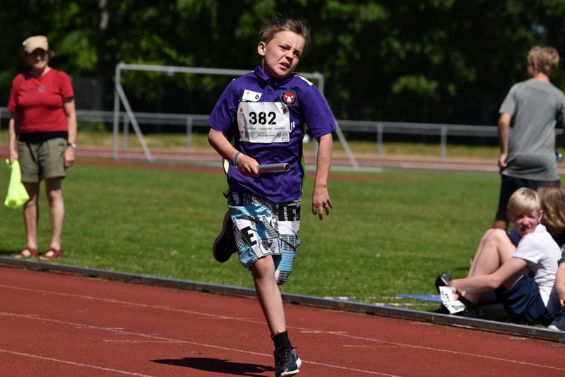 Billeder fra Skole ol 2018