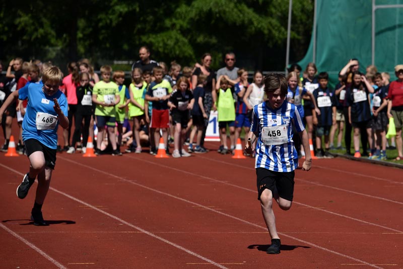 Billeder fra Skole ol 2018