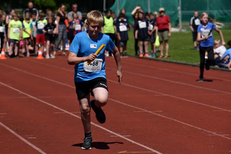 Billeder fra Skole ol 2018