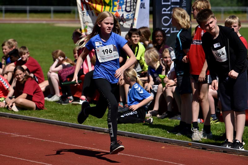 Billeder fra Skole ol 2018