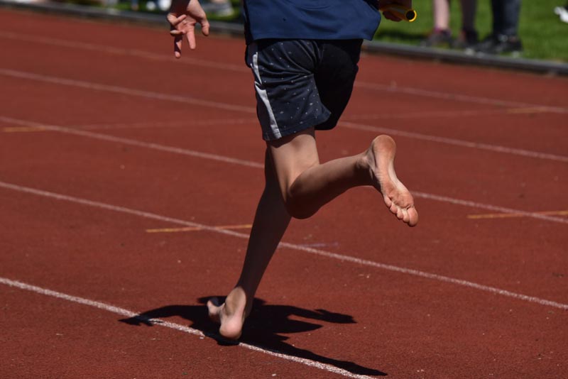 Billeder fra Skole ol 2018