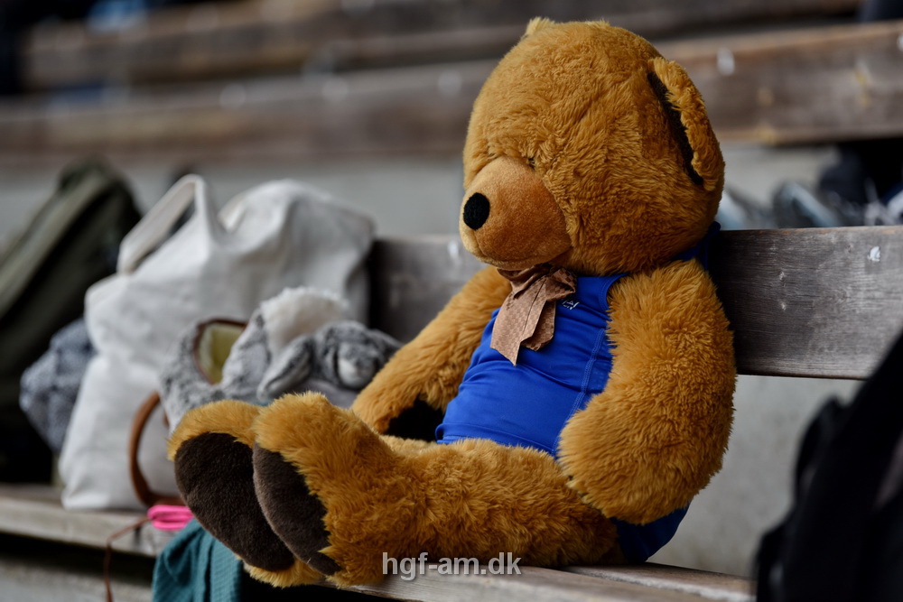 Galleri fra Vestdansk Holdmesterskab