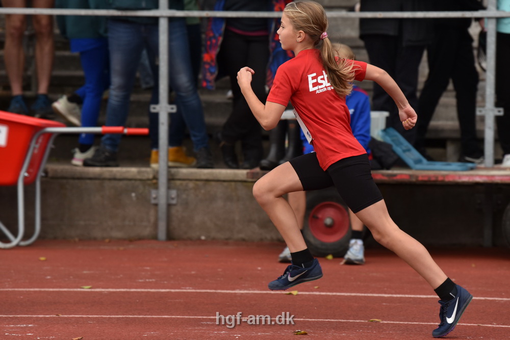 Galleri fra Vestdansk Holdmesterskab