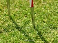 Billeder fra Herning Games 2024