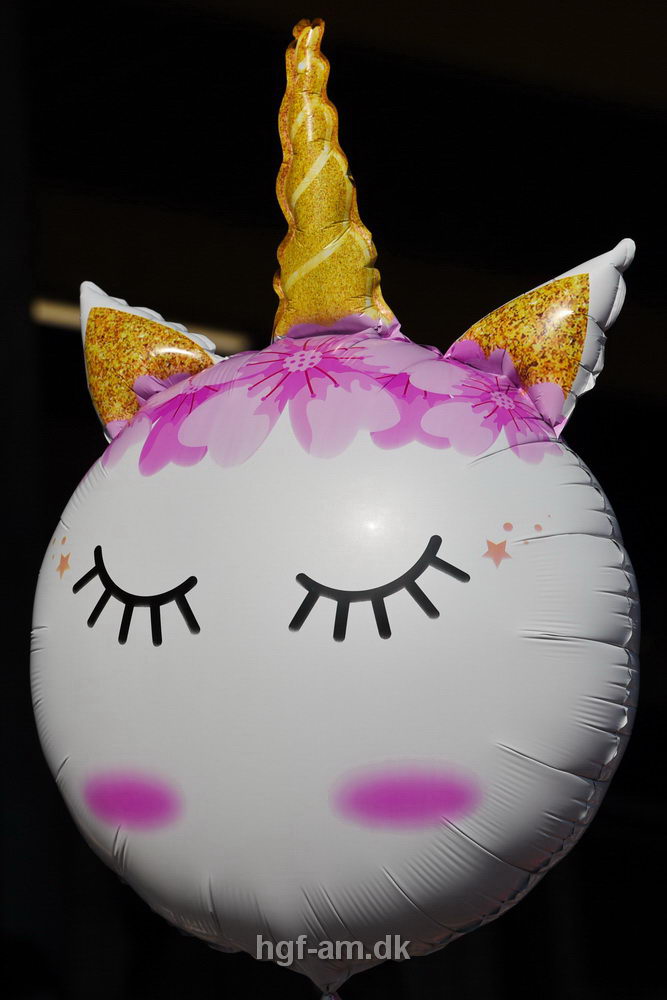 Billeder fra Vestdansk Holdmesterskab for Ungdom