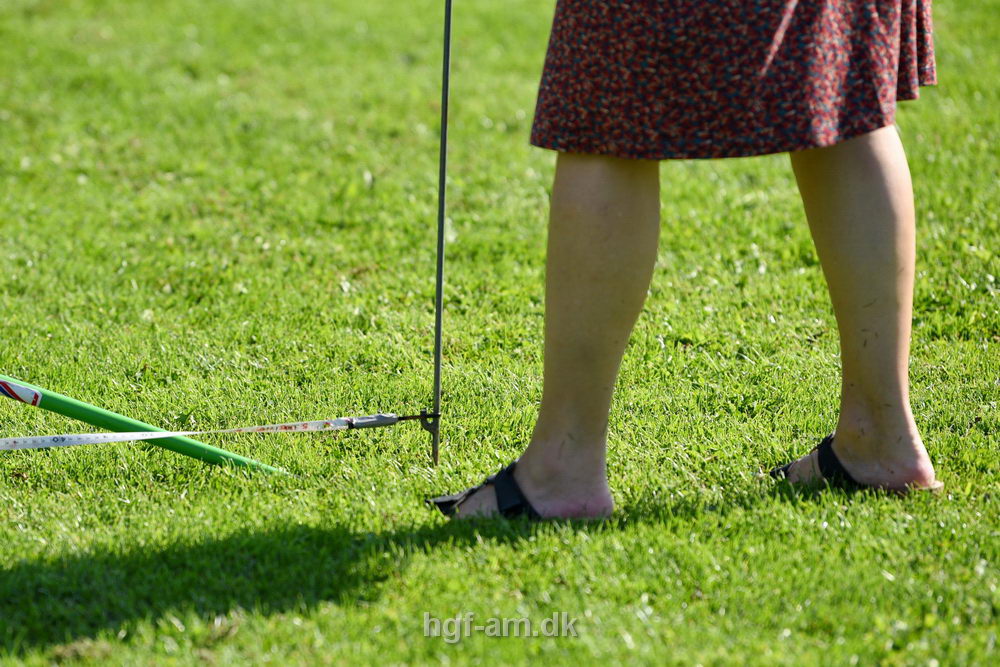 Billeder fra Vestdansk Holdmesterskab for Ungdom