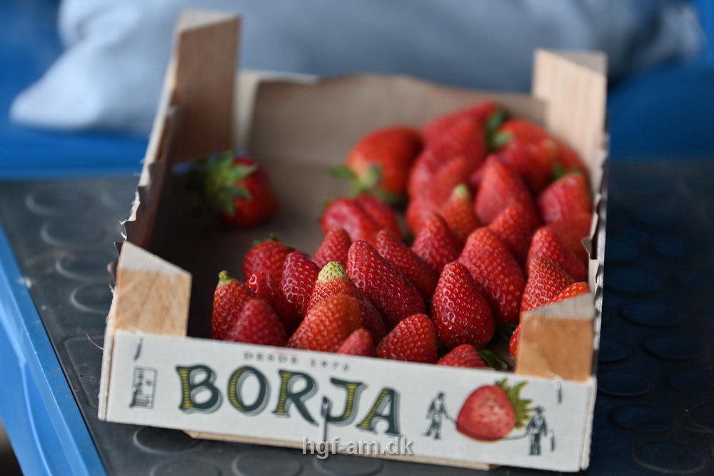 Billeder fra Herning Games 2025