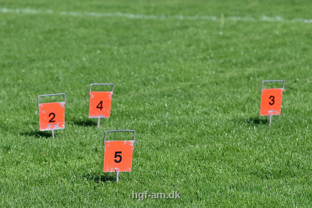 Billeder fra Vestdansk Holdmesterskab for Ungdom