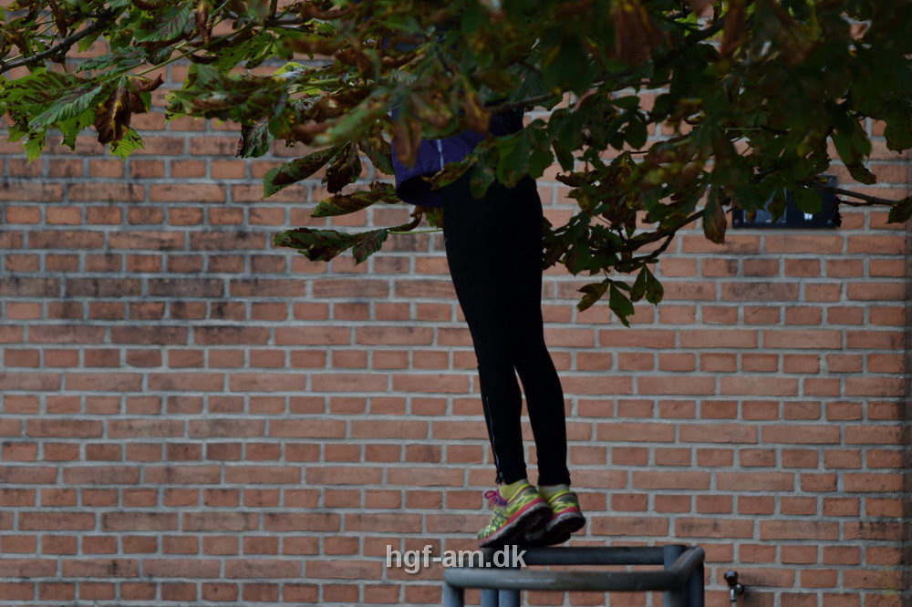 Billeder fra Vestdansk holdmesterskab 2018