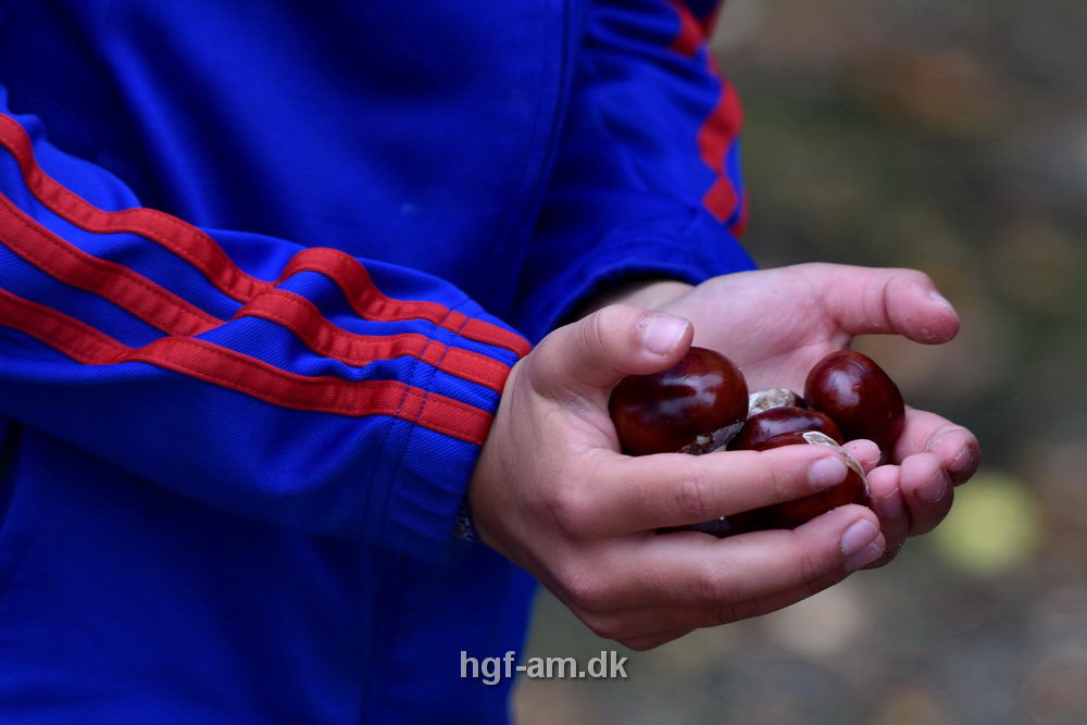 Billeder fra Vestdansk holdmesterskab 2018