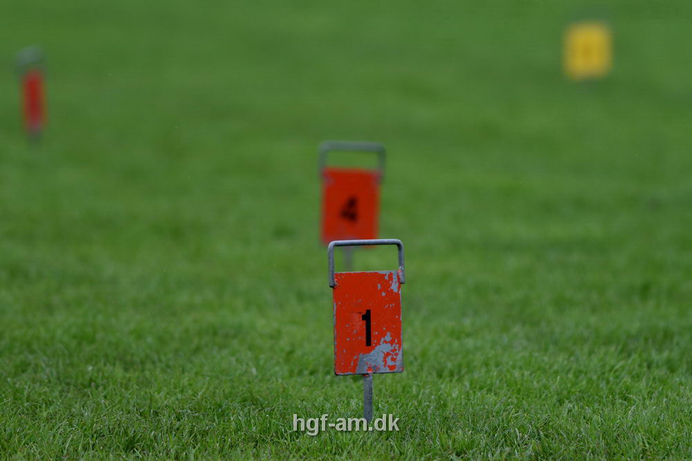 Billeder fra Vestdansk holdmesterskab 2018